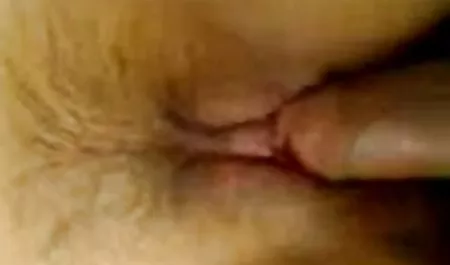 جنسیت فیلم سکسی با جوراب شیشه ای