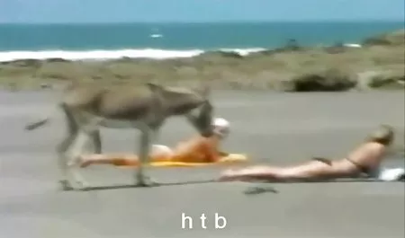 همسر فاحشه قسمت جوراب مچی سکسی 1 بتنی